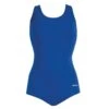Dolfin Conservative Lap Suit