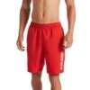 Men's Nike Swim Guard 9" Volley Short